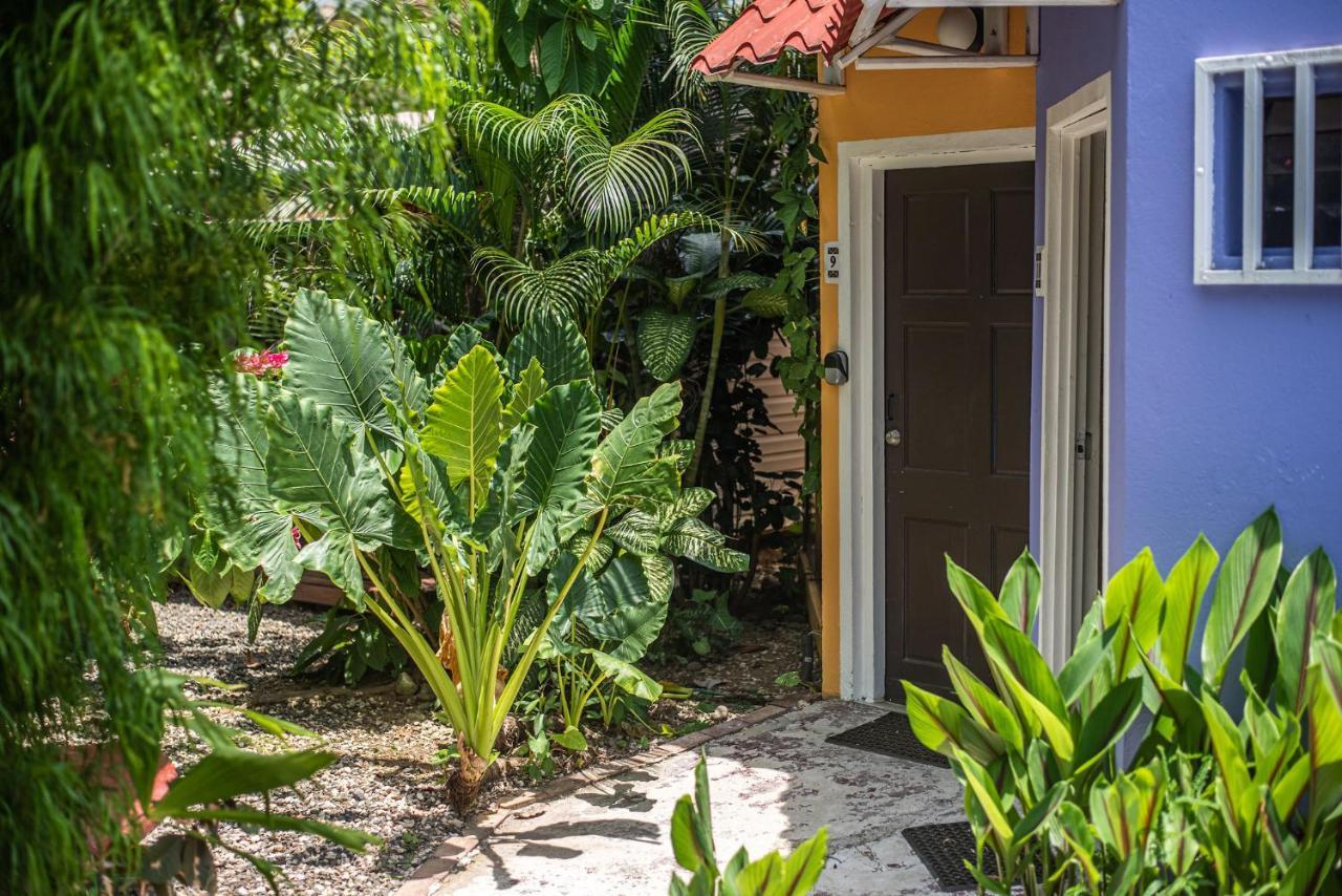 Jaco Lodge Quiet Place (Adults Only) Exterior photo