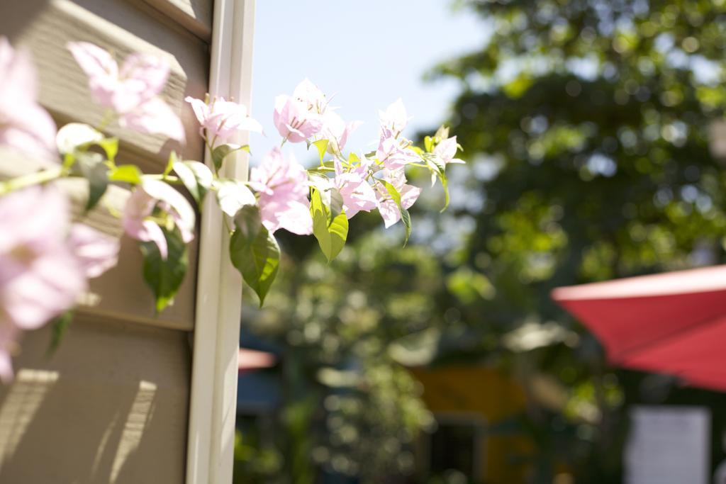 Jaco Lodge Quiet Place (Adults Only) Exterior photo